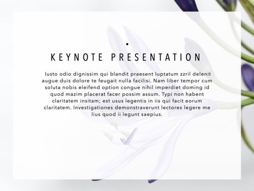 Daisy Keynote Presentation Template, Diapositiva 20, 05388, Plantillas de presentación — PoweredTemplate.com