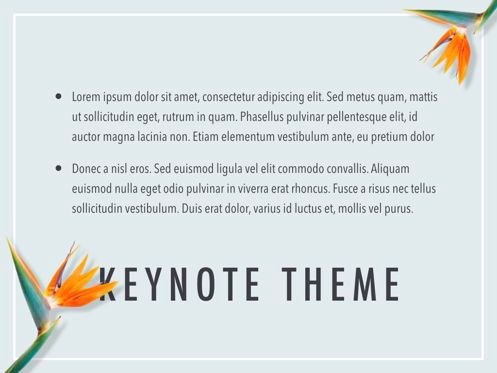 Paradise Flower Keynote Template, Slide 11, 05775, Templat Presentasi — PoweredTemplate.com
