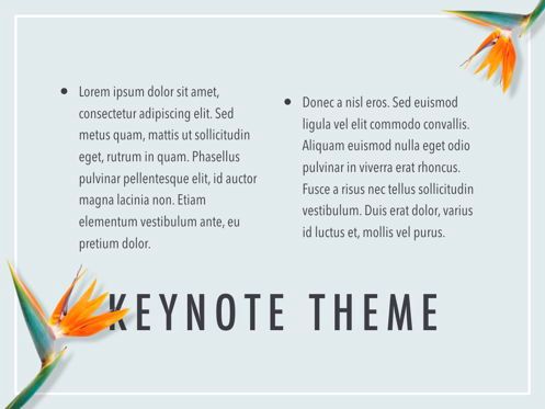 Paradise Flower Keynote Template, Slide 12, 05775, Presentation Templates — PoweredTemplate.com