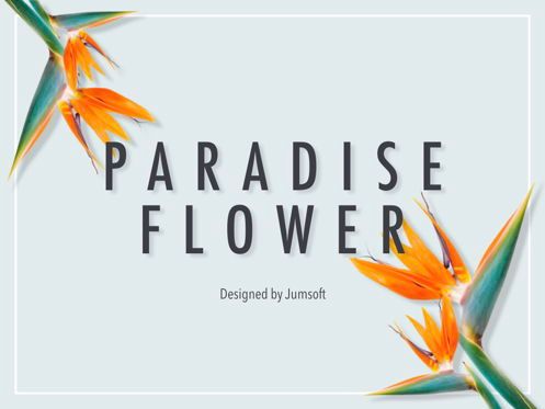 Paradise Flower Keynote Template, Slide 2, 05775, Presentation Templates — PoweredTemplate.com