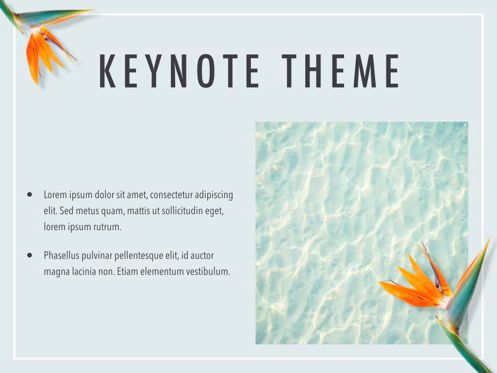 Paradise Flower Keynote Template, Slide 30, 05775, Presentation Templates — PoweredTemplate.com