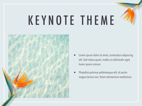 Paradise Flower Keynote Template, Slide 31, 05775, Presentation Templates — PoweredTemplate.com