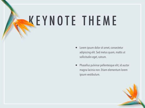 Paradise Flower Keynote Template, Slide 33, 05775, Presentation Templates — PoweredTemplate.com