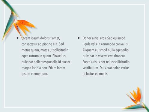Paradise Flower Keynote Template, Diapositiva 6, 05775, Plantillas de presentación — PoweredTemplate.com