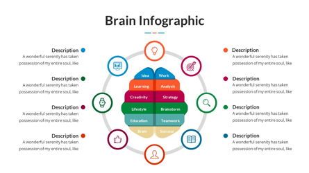 Brain Infographic for Powerpoint Template, Slide 28, 05895, Business Models — PoweredTemplate.com