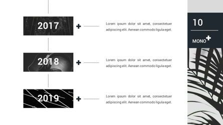 Mono - Lookbook Powerpoint Template, Slide 11, 06267, Data Driven Diagrams and Charts — PoweredTemplate.com