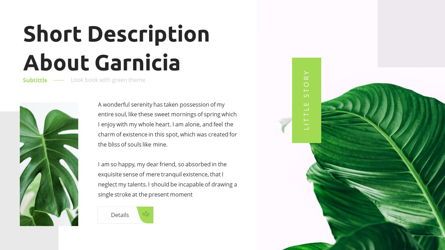 Garnicia - Fresh Powerpoint Template, Diapositiva 7, 06539, Modelos de negocios — PoweredTemplate.com