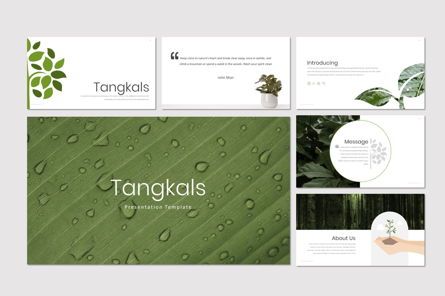 Tangkals - Google Slides Template, Dia 2, 06952, Presentatie Templates — PoweredTemplate.com
