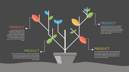 Product Tree Infographics, Deslizar 2, 06971, Infográficos — PoweredTemplate.com
