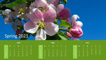 Calendar 2021 Year for Presentations, Dia 2, 07064, Timelines & Calendars — PoweredTemplate.com