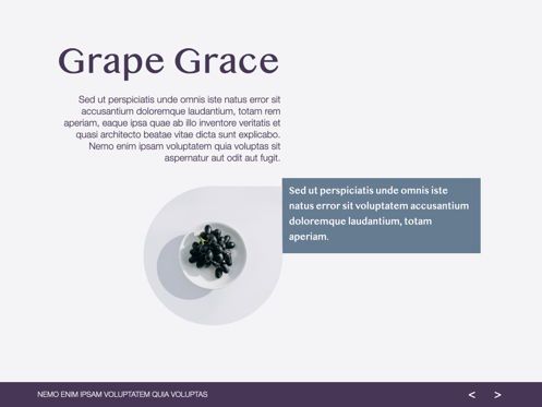 Grape Grace Keynote Presentation Template, Diapositiva 4, 07092, Plantillas de presentación — PoweredTemplate.com