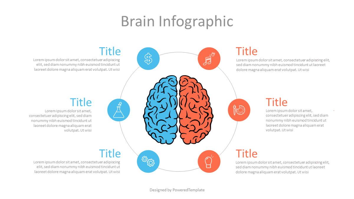 The Mechanics of the Brain (Infographic)