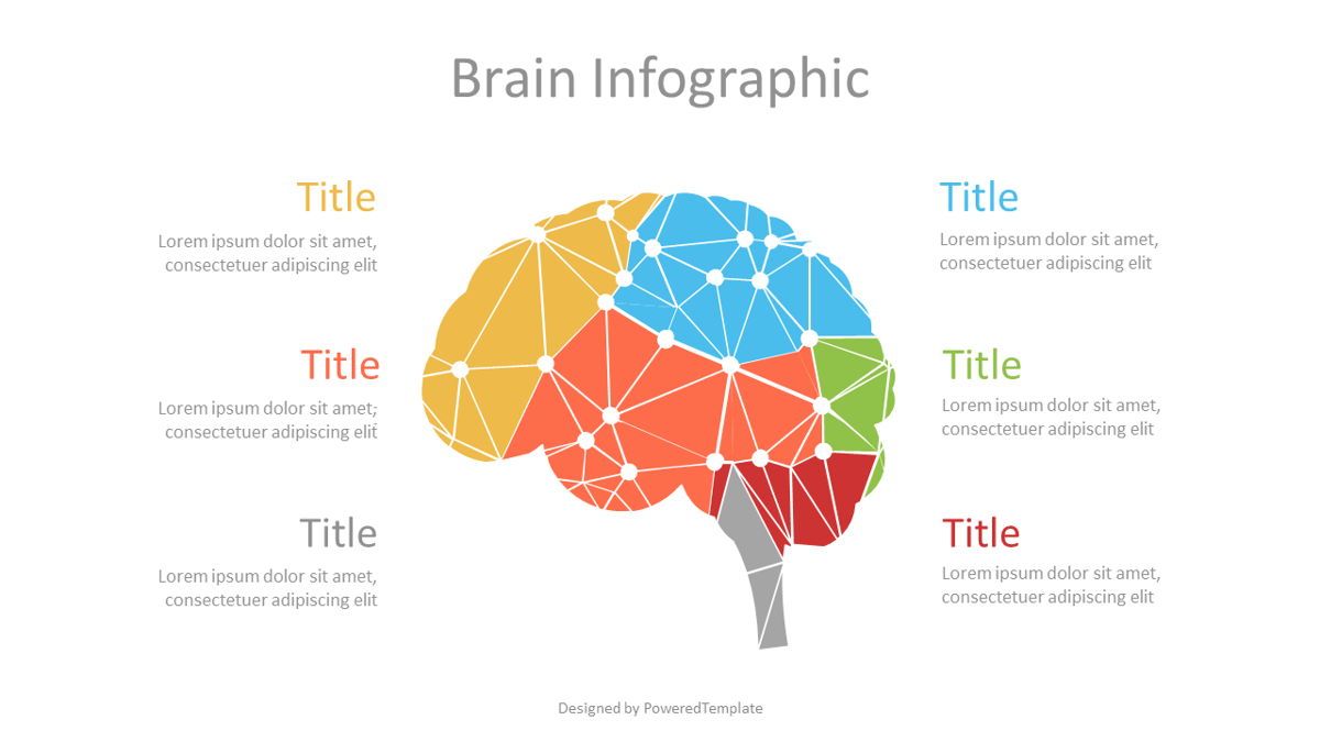 The Mechanics of the Brain (Infographic)