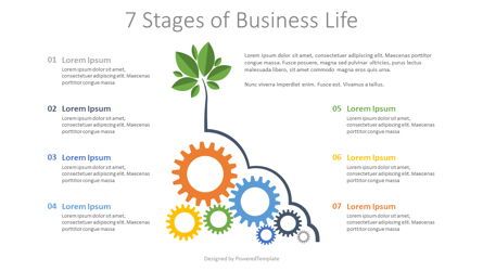 7 Stages of Business Life, 07890, Infographics — PoweredTemplate.com