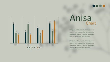 Anisa - Creative Professional Business PowerPoint Template, Diapositiva 33, 08459, Plantillas de presentación — PoweredTemplate.com