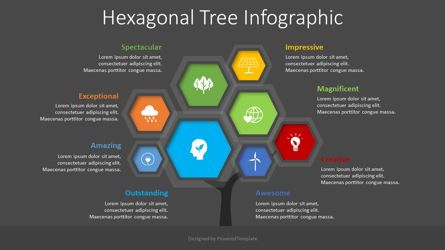 Hexagonal Tree Infographic, Folie 2, 08543, Infografiken — PoweredTemplate.com