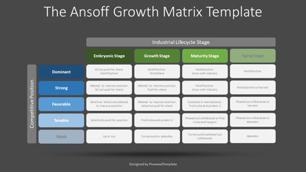 Strategic Condition Matrix - ADL Matrix, Slide 2, 08750, Business Models — PoweredTemplate.com