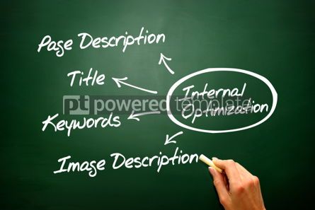 Business: Internal optimization of website's pages (SEO) diagram chart on #02664 Free Photo