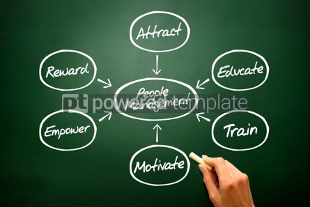 Business: People Management flow chart vector concept diagram shapes on b #02713 Free Photo