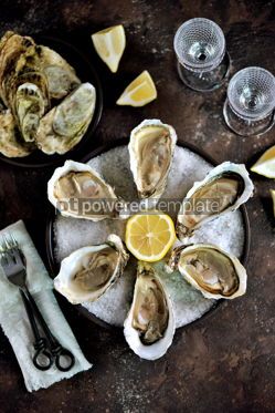 Food & Drink: Fresh oysters on a large sea salt with lemon #13883 Photo