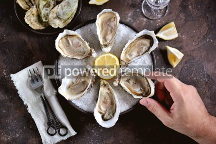 Food & Drink: Fresh oysters on a large sea salt with lemon #13884 Photo