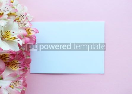 Vacanze: Beautiful pink summer card with pink and white flowers #16396 Foto