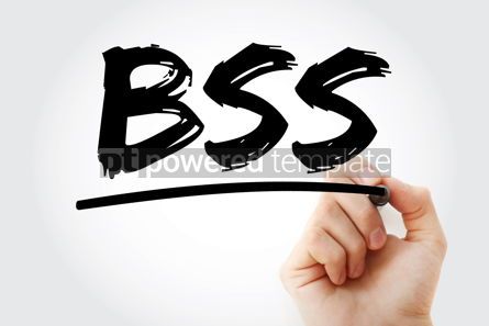 Business: BSS - Business Support System acronym with marker business conc #17457 Photo