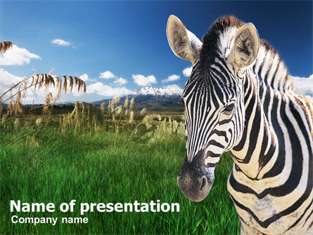 Zebra On A Green Savanna PowerPoint Template, Free PowerPoint Template, 00697, Animals and Pets — PoweredTemplate.com