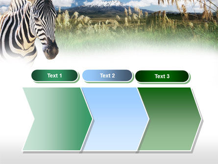 jaminan surat hijau Templat PowerPoint Atas Hijau, Zebra Di Gambar Sabana