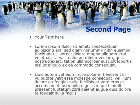 Plantilla de PowerPoint - pingüinos, Diapositiva 2, 00794, Animales y Mascotas — PoweredTemplate.com