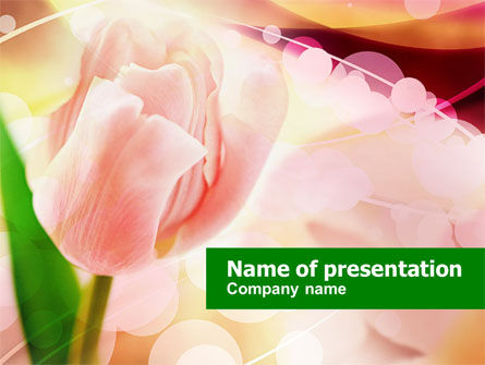 Modèle PowerPoint de tulipe rose clair, Gratuit Modele PowerPoint, 00817, Fêtes / Grandes occasions — PoweredTemplate.com
