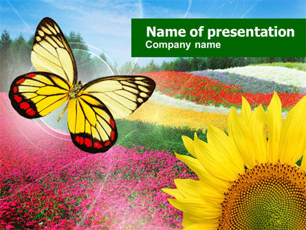 Butterfly PowerPoint Template, Free PowerPoint Template, 00836, Nature & Environment — PoweredTemplate.com