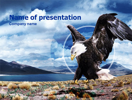 Plantilla de PowerPoint - águila norteamericana, Gratis Plantilla de PowerPoint, 00863, Animales y Mascotas — PoweredTemplate.com