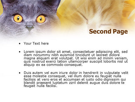 Modèle PowerPoint de chat bleu, Diapositive 2, 00882, Animaux de compagnie — PoweredTemplate.com