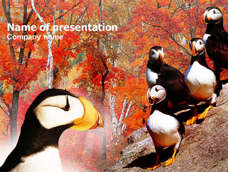 鳥類学 - PowerPointテンプレート, 無料 PowerPointテンプレート, 00937, 自然＆環境 — PoweredTemplate.com