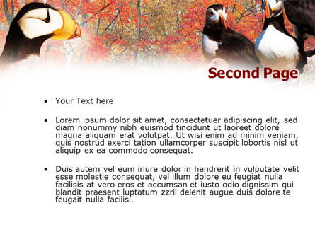 Modello PowerPoint - Ornitologia, Slide 2, 00937, Natura & Ambiente — PoweredTemplate.com