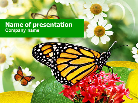 Machaon Vlinder PowerPoint Template, Gratis PowerPoint-sjabloon, 00956, Natuur & Milieu — PoweredTemplate.com