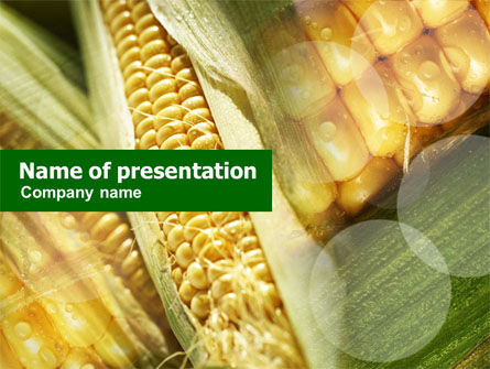 Maize PowerPoint Template, 00973, Food & Beverage — PoweredTemplate.com