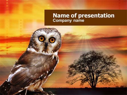 フクロウ - PowerPointテンプレート, 無料 PowerPointテンプレート, 00998, 動物＆ペット — PoweredTemplate.com
