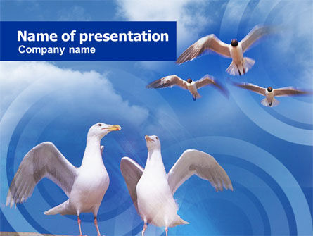 海鸥PowerPoint模板, 免费 PowerPoint模板, 01094, 动物和宠物 — PoweredTemplate.com