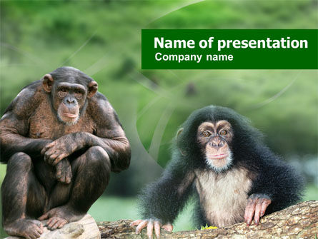 Baby Aap PowerPoint Template, Gratis PowerPoint-sjabloon, 01148, Natuur & Milieu — PoweredTemplate.com