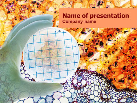 Bacterial Culture PowerPoint Template, 01168, Medical — PoweredTemplate.com