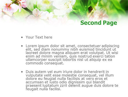 파워포인트 템플릿 - 피는 벚꽃, 슬라이드 2, 01207, 자연 및 환경 — PoweredTemplate.com