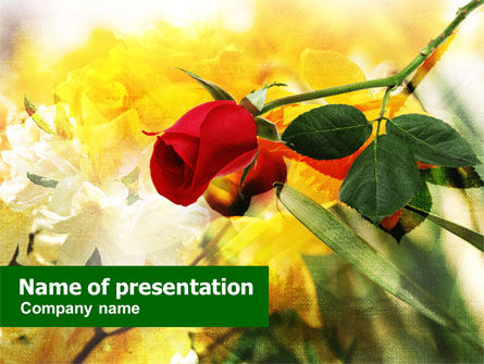 Rode Roos PowerPoint Template, Gratis PowerPoint-sjabloon, 01218, Vakantie/Speciale Gelegenheden — PoweredTemplate.com