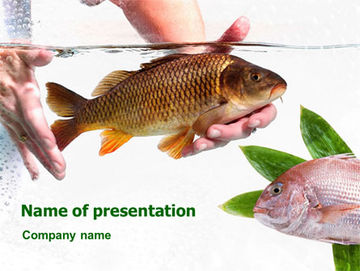 PPT - Game fish of Utah Warm Water PowerPoint Presentation, free download -  ID:2321466