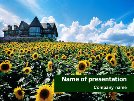 Feld der sonnenblumen PowerPoint Vorlage, 01410, Natur & Umwelt — PoweredTemplate.com