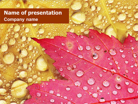 Leaves in Dew PowerPoint Template, Free PowerPoint Template, 01487, Nature & Environment — PoweredTemplate.com