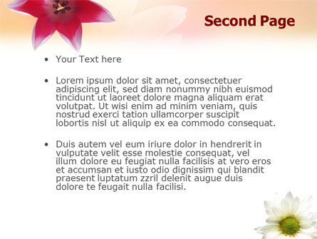 在粉色背景上的oxy雏菊PowerPoint模板, 幻灯片 2, 01514, 自然与环境 — PoweredTemplate.com