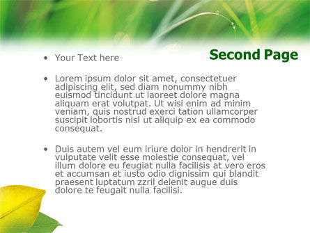 Yellow Leaf In Green Grass PowerPoint Template, Slide 2, 01528, Nature & Environment — PoweredTemplate.com