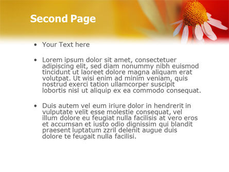 Ladybug PowerPoint Template, Slide 2, 01812, Nature & Environment — PoweredTemplate.com